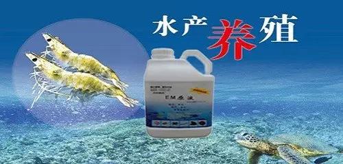 EM菌液